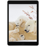 تبلت ۱۰.۲ اینچ اپل مدل iPad (9th Generation) 10.2-Inch Wi-Fi (2021) ظرفیت 64 گیگابایت