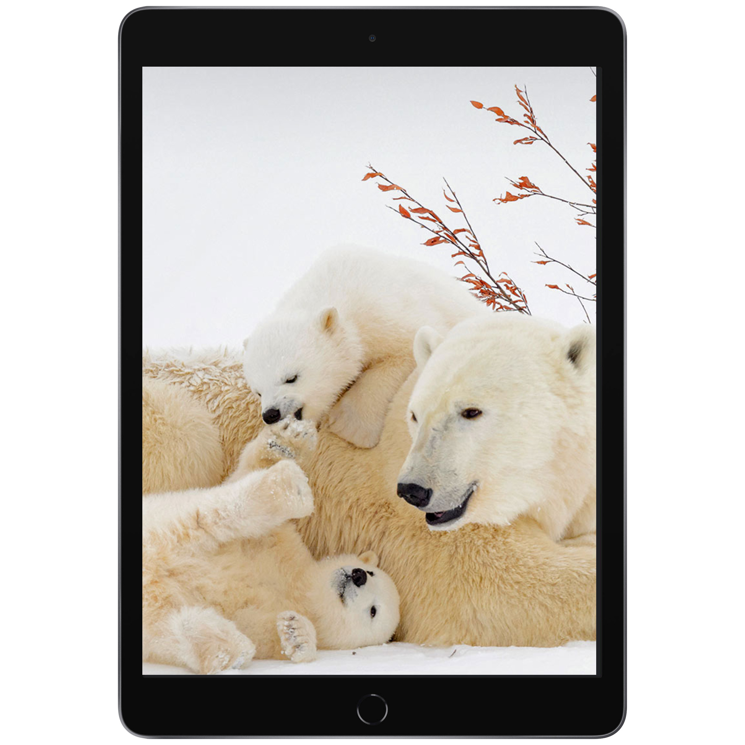 تبلت ۱۰.۲ اینچ اپل مدل iPad (9th Generation) 10.2-Inch Wi-Fi (2021) ظرفیت 64 گیگابایت